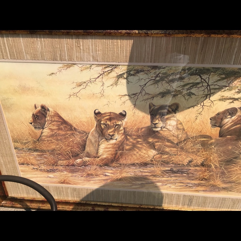 Frame Art